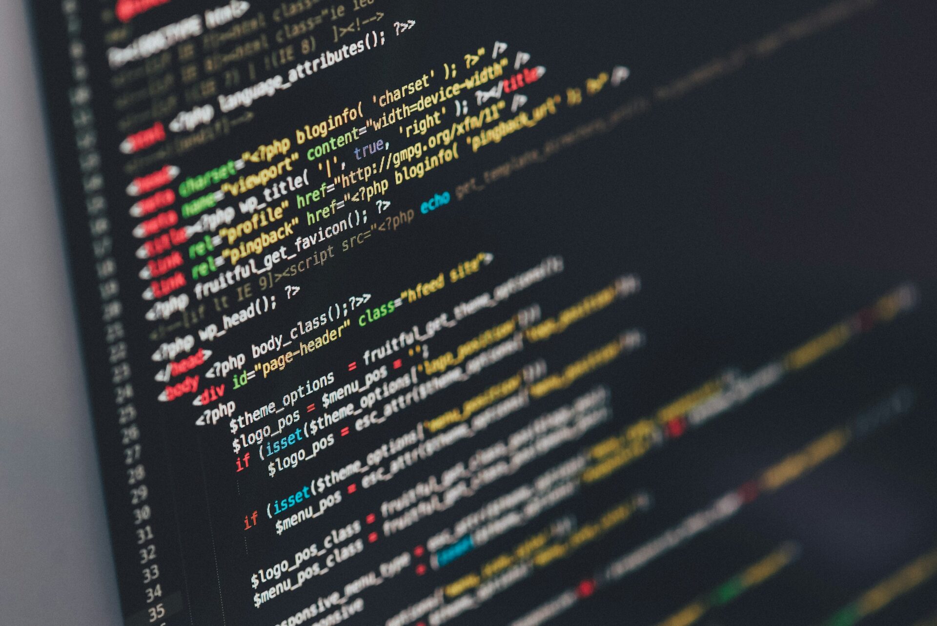 website developer